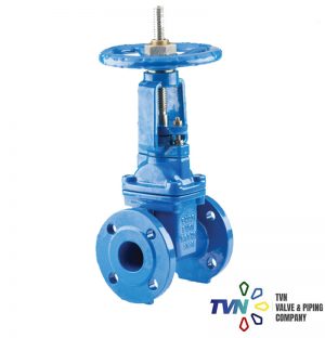 Rising Stem Gate Valve