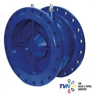 Nozzle Type Check Valve