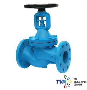 Globe Valve Bellow Seal