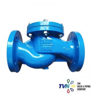 Lift Type Check Valve