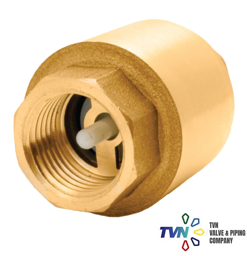 spring check valve