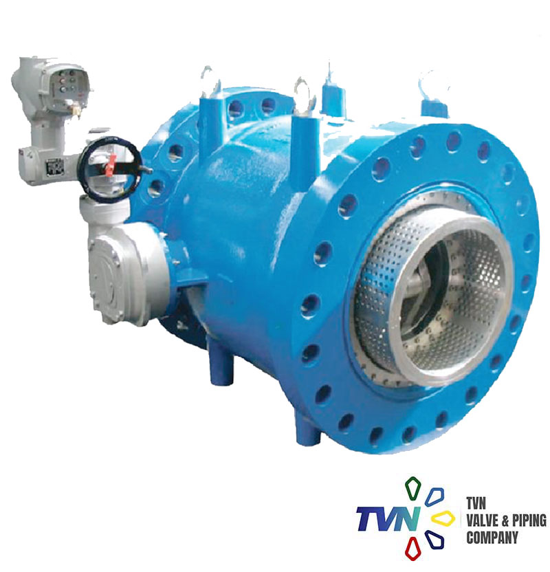 V901 Plunger Valve TVN Valve & Piping Company